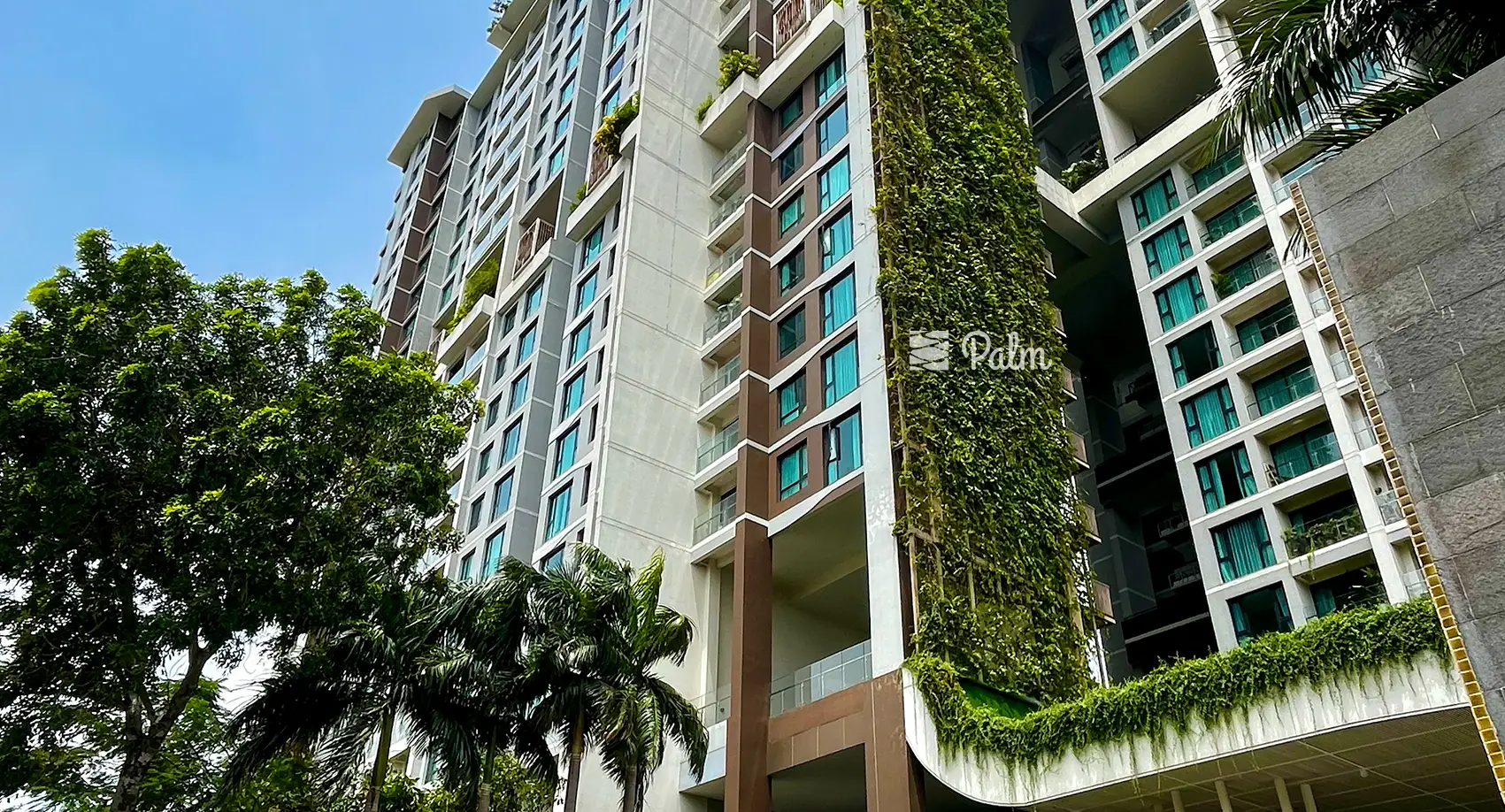 Tường Cây Giả Hay Thật? Bí Quyết Chọn Theo Từng Không Gian