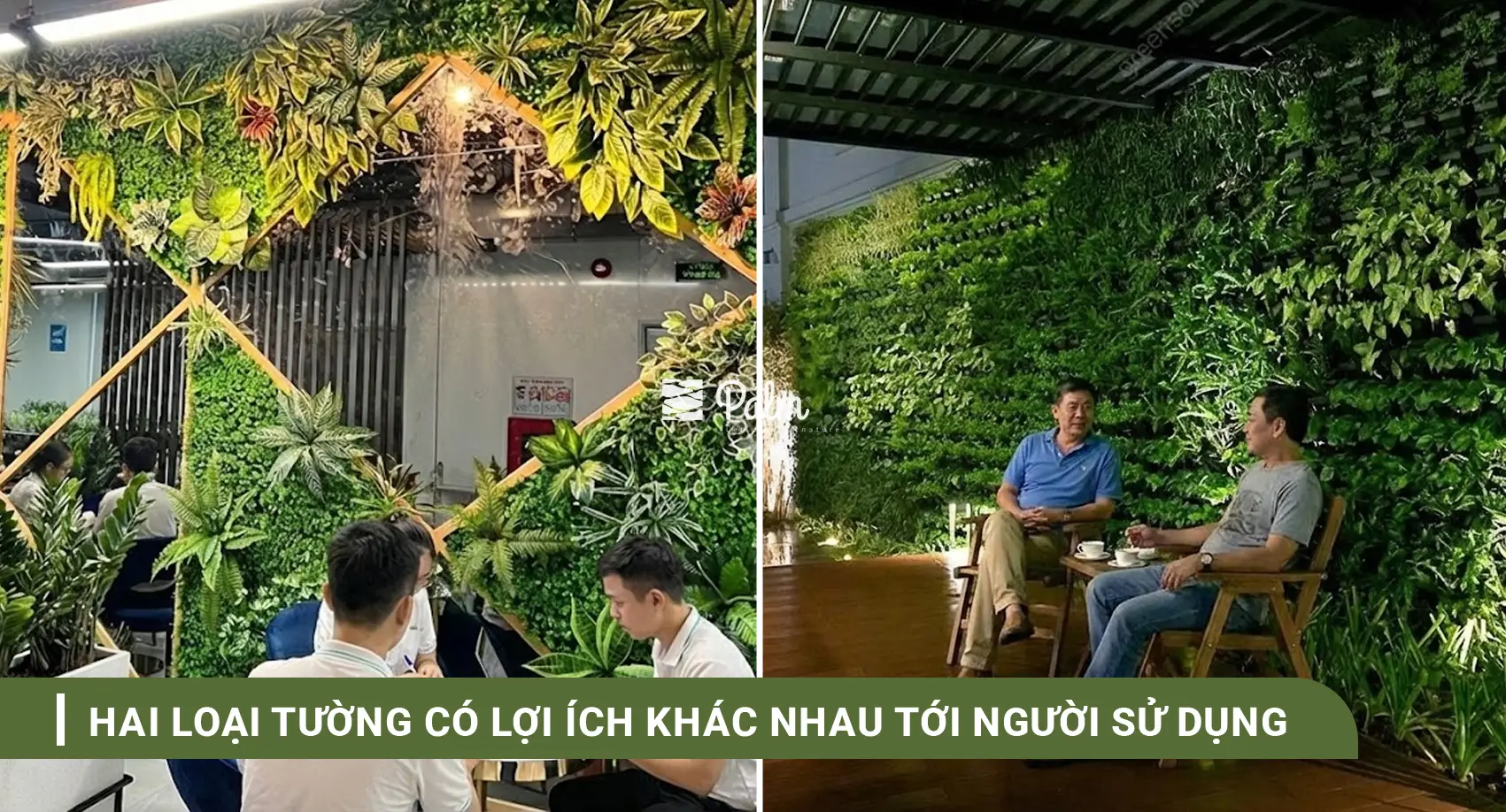 Tường Cây Giả Hay Thật? Bí Quyết Chọn Theo Từng Không Gian