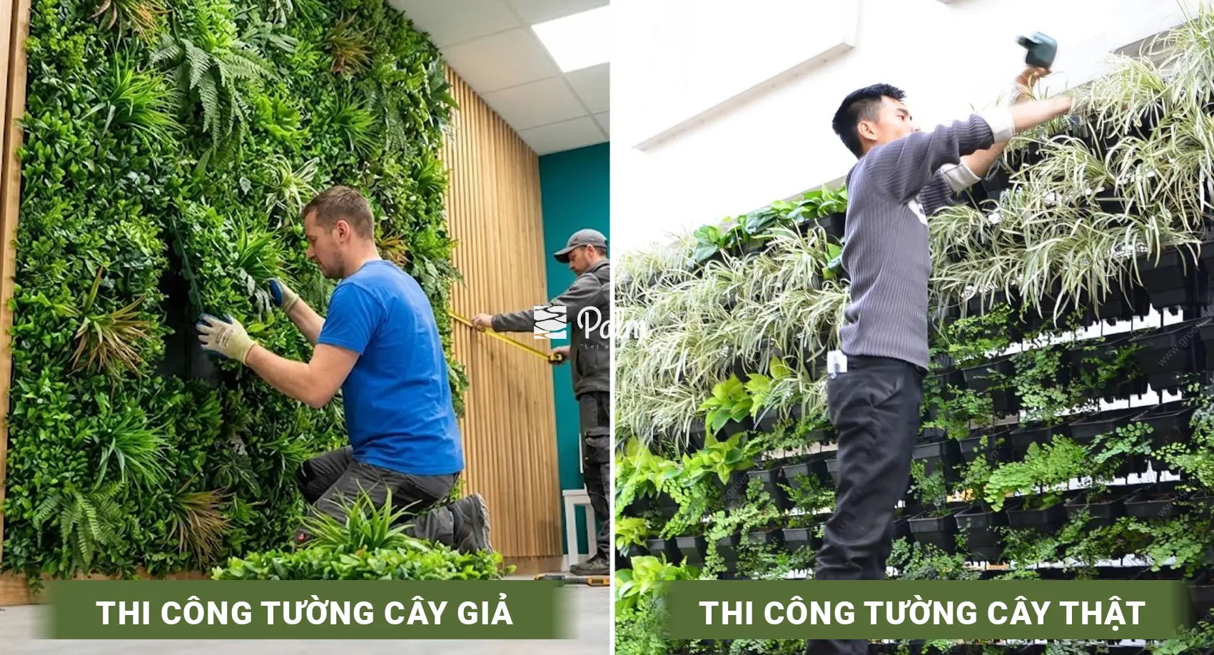 Tường Cây Giả Hay Thật? Bí Quyết Chọn Theo Từng Không Gian