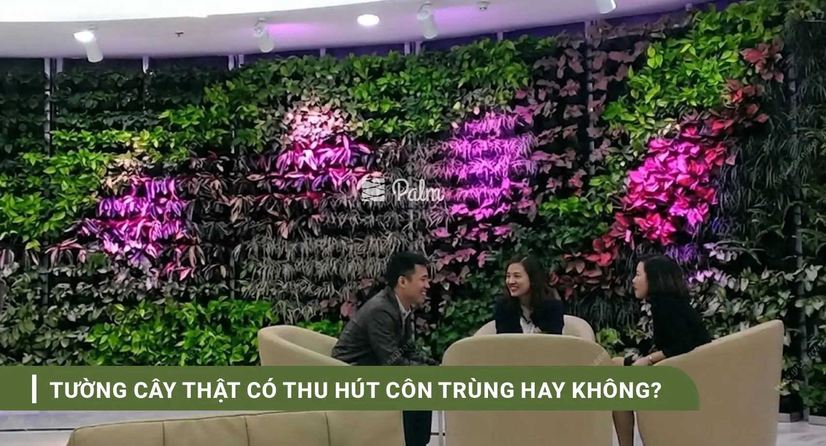 Tường Cây Giả Hay Thật? Bí Quyết Chọn Theo Từng Không Gian