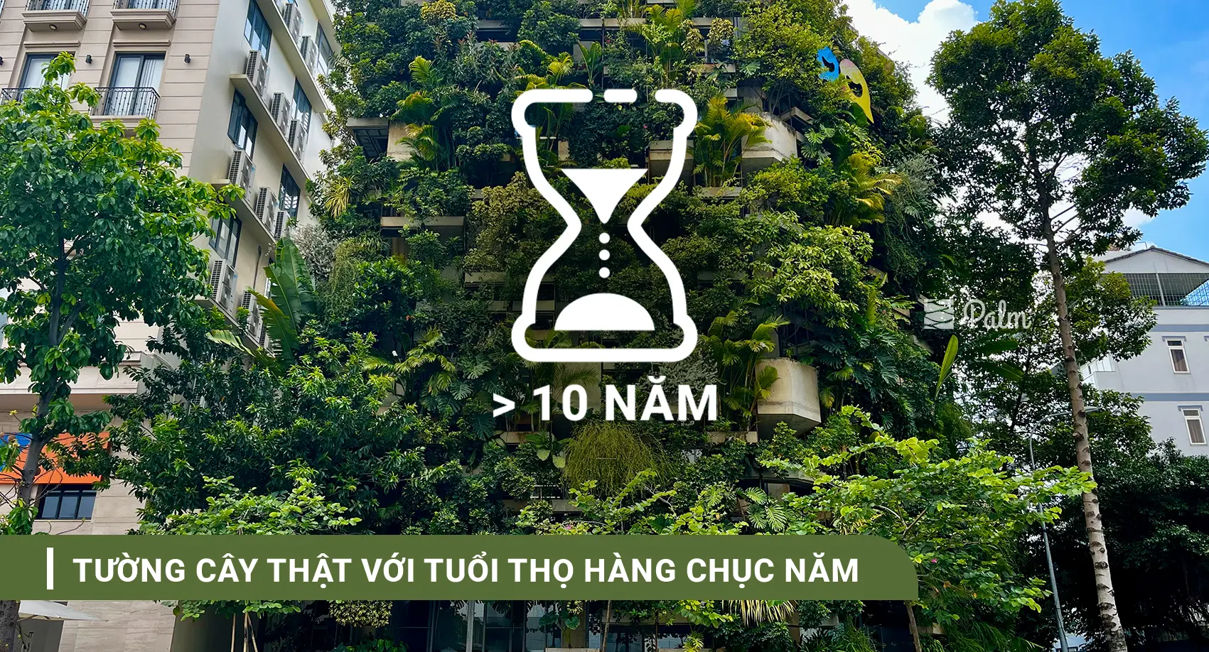 Tường Cây Giả Hay Thật? Bí Quyết Chọn Theo Từng Không Gian