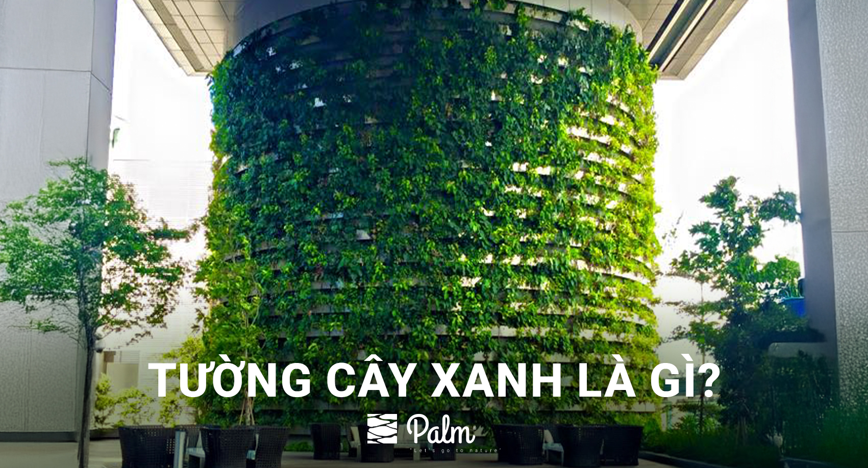 Tường Cây Xanh Là Gì | A-Z về Lợi Ích và Cách Thi Công 