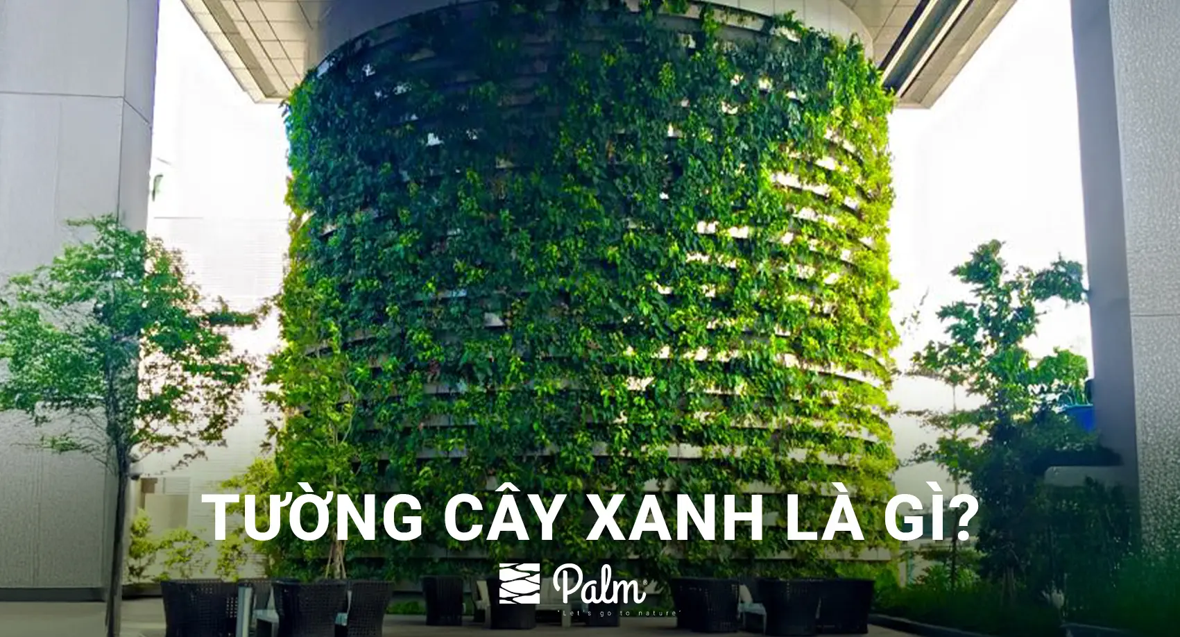 Tường Cây Xanh | A-Z về Lợi Ích, Cách Thi Công & 10+ Mẫu Đẹp Nhất