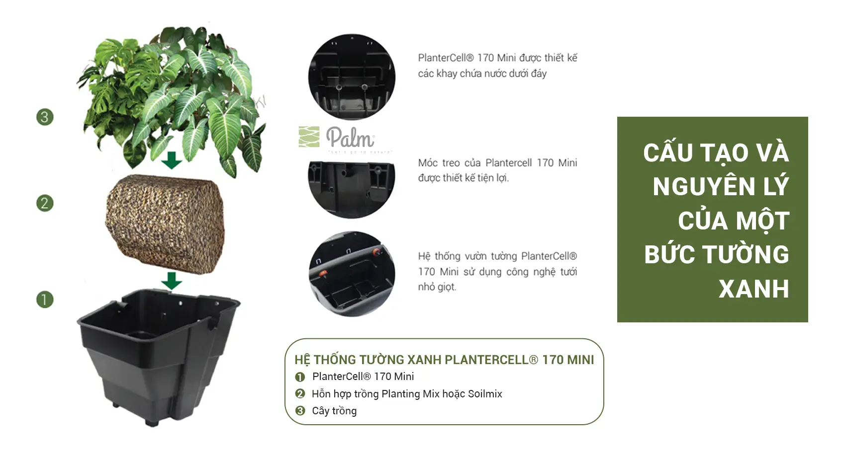 Tường xanh là sự kết hợp của hệ thống các chậu cây mini