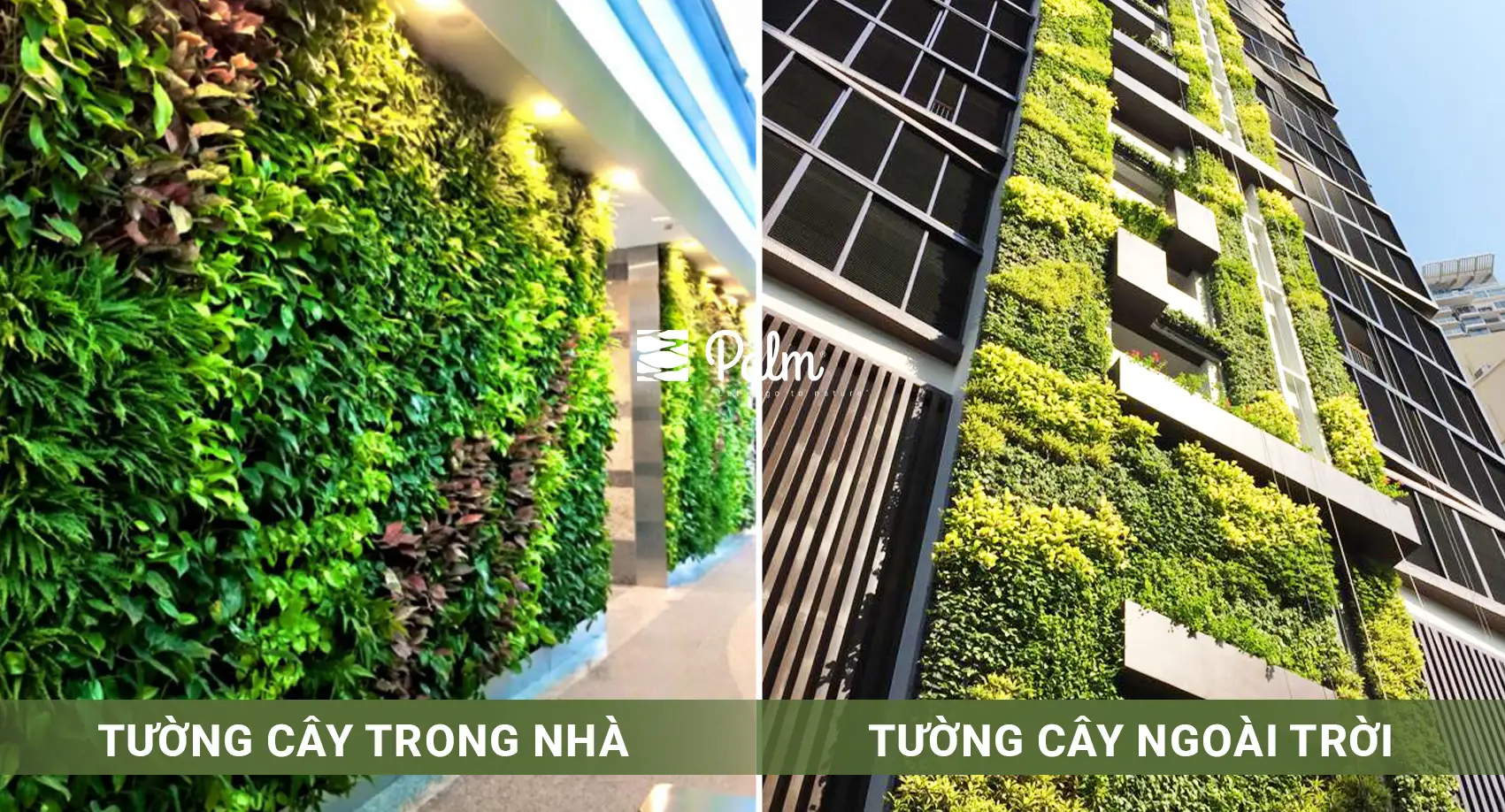 Tường Cây Xanh | A-Z về Lợi Ích, Cách Thi Công & 10+ Mẫu Đẹp Nhất