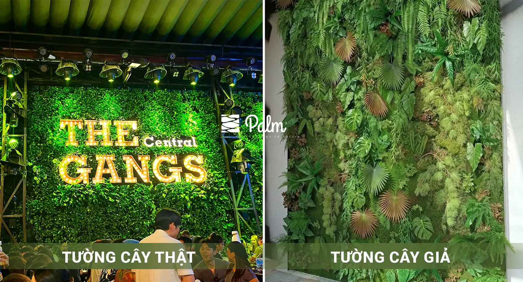 Tường Cây Xanh | A-Z về Lợi Ích, Cách Thi Công & 10+ Mẫu Đẹp Nhất