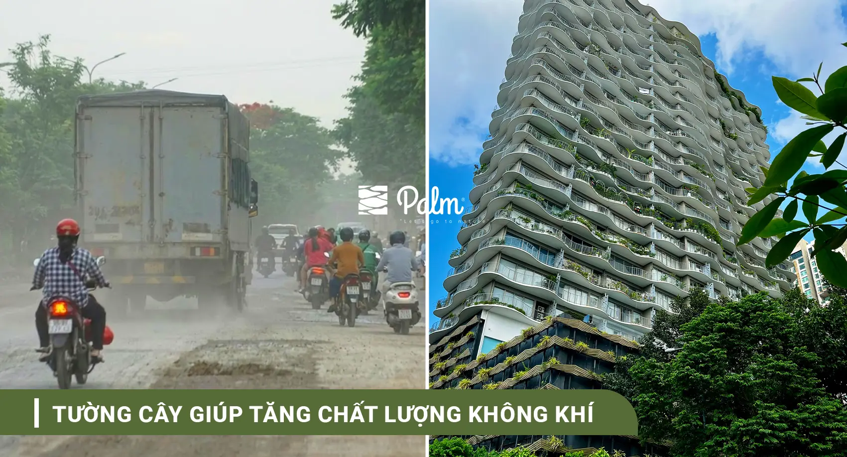 Tường Cây Xanh | A-Z về Lợi Ích, Cách Thi Công & 10+ Mẫu Đẹp Nhất