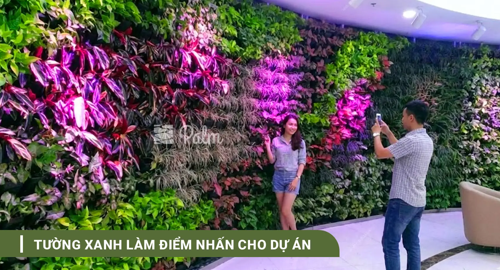 Tường Cây Xanh | A-Z về Lợi Ích, Cách Thi Công & 10+ Mẫu Đẹp Nhất