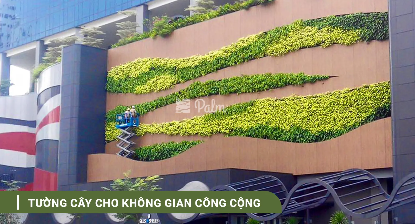 Tường cây cho văn phòng, không gian mở