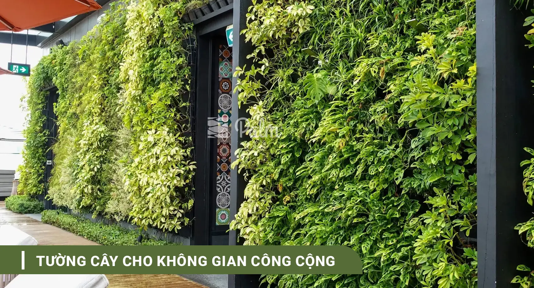 Tường Cây Xanh | A-Z về Lợi Ích, Cách Thi Công & 10+ Mẫu Đẹp Nhất