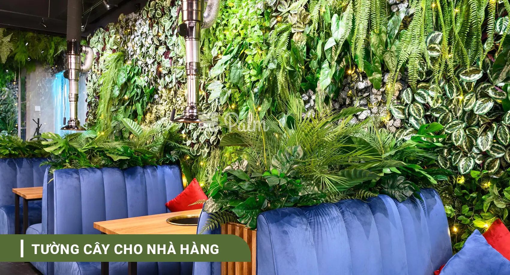 Tường Cây Xanh | A-Z về Lợi Ích, Cách Thi Công & 10+ Mẫu Đẹp Nhất