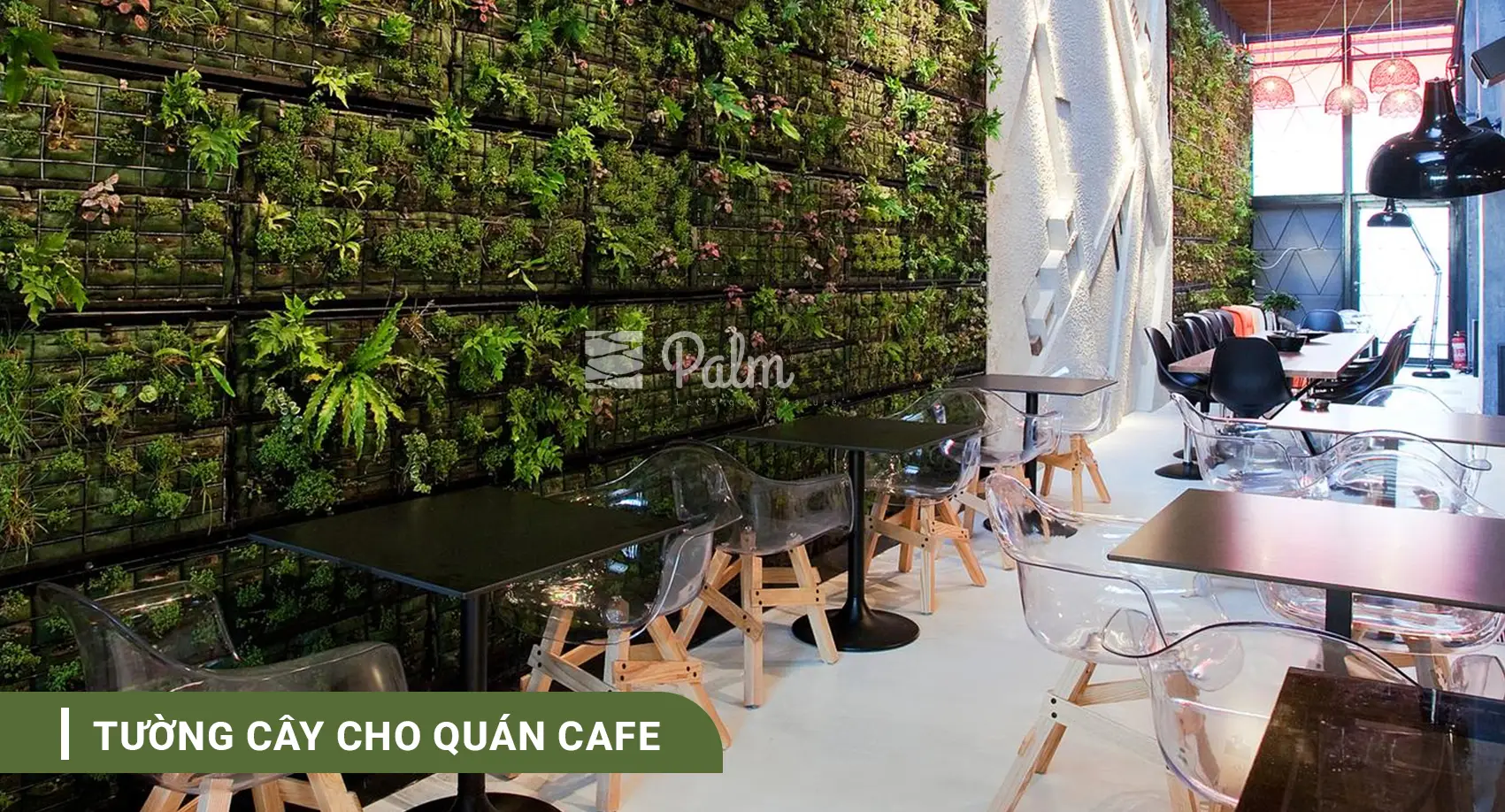 Tường Cây Xanh | A-Z v�� Lợi Ích, Cách Thi Công & 10+ Mẫu Đẹp Nhất