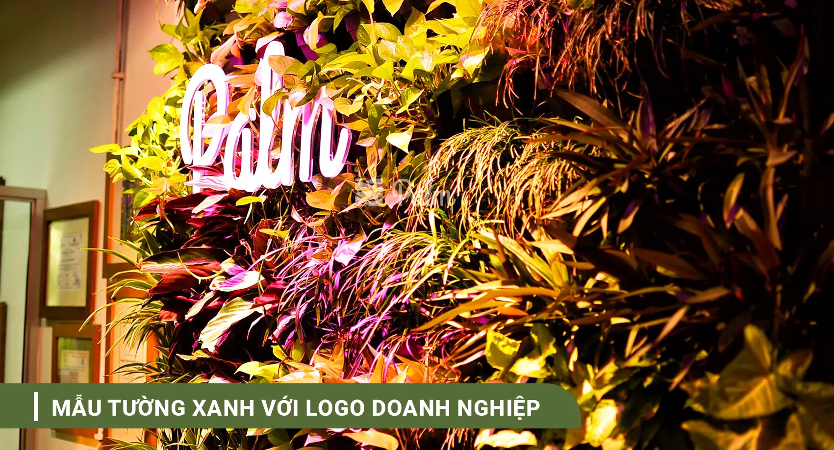 Tường Cây Xanh | A-Z về Lợi Ích, Cách Thi Công & 10+ Mẫu Đẹp Nhất