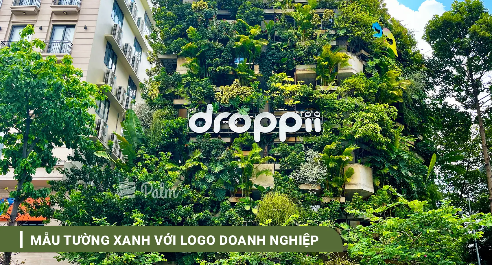 Tường Cây Xanh | A-Z về Lợi Ích, Cách Thi Công & 10+ Mẫu Đẹp Nhất