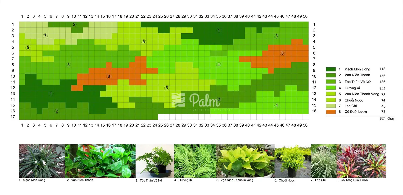 Tường Cây Xanh | A-Z về Lợi Ích, Cách Thi Công & 10+ Mẫu Đẹp Nhất