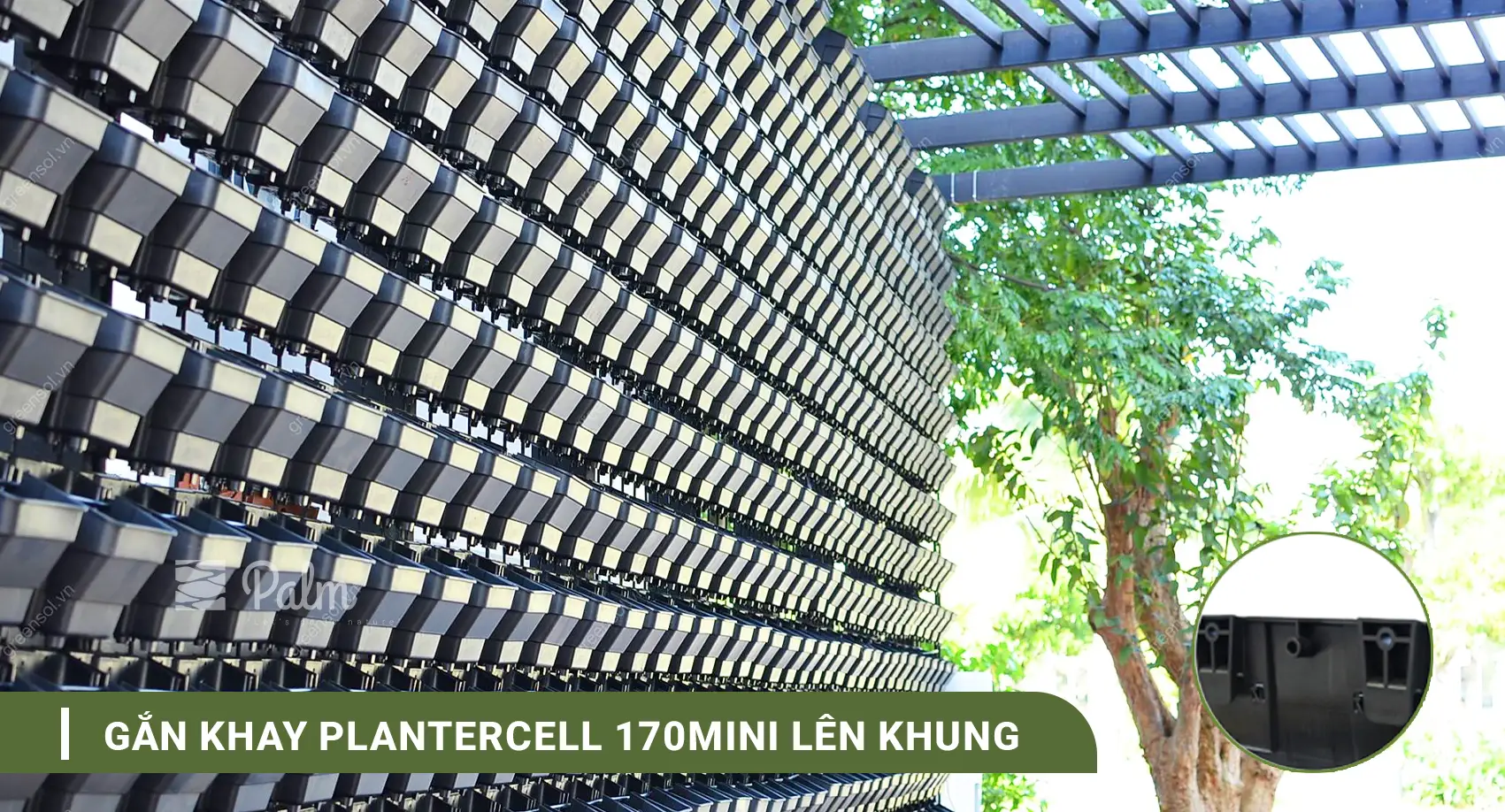 Tường Cây Xanh | A-Z về Lợi Ích, Cách Thi Công & 10+ Mẫu Đẹp Nhất