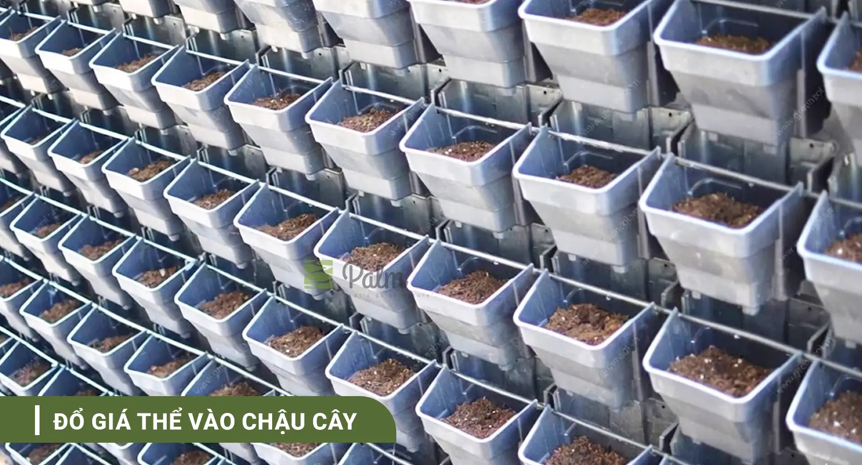Tường Cây Xanh | A-Z về Lợi Ích, Cách Thi Công & 10+ Mẫu Đẹp Nhất
