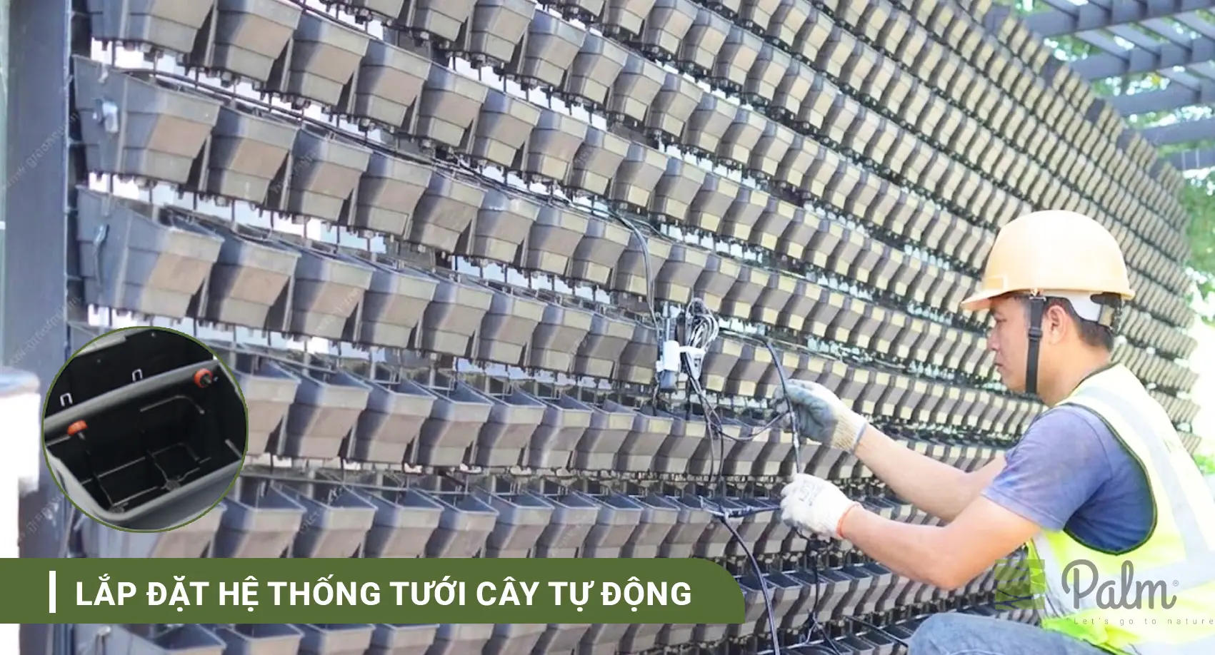 Tường Cây Xanh | A-Z về Lợi Ích, Cách Thi Công & 10+ Mẫu Đẹp Nhất