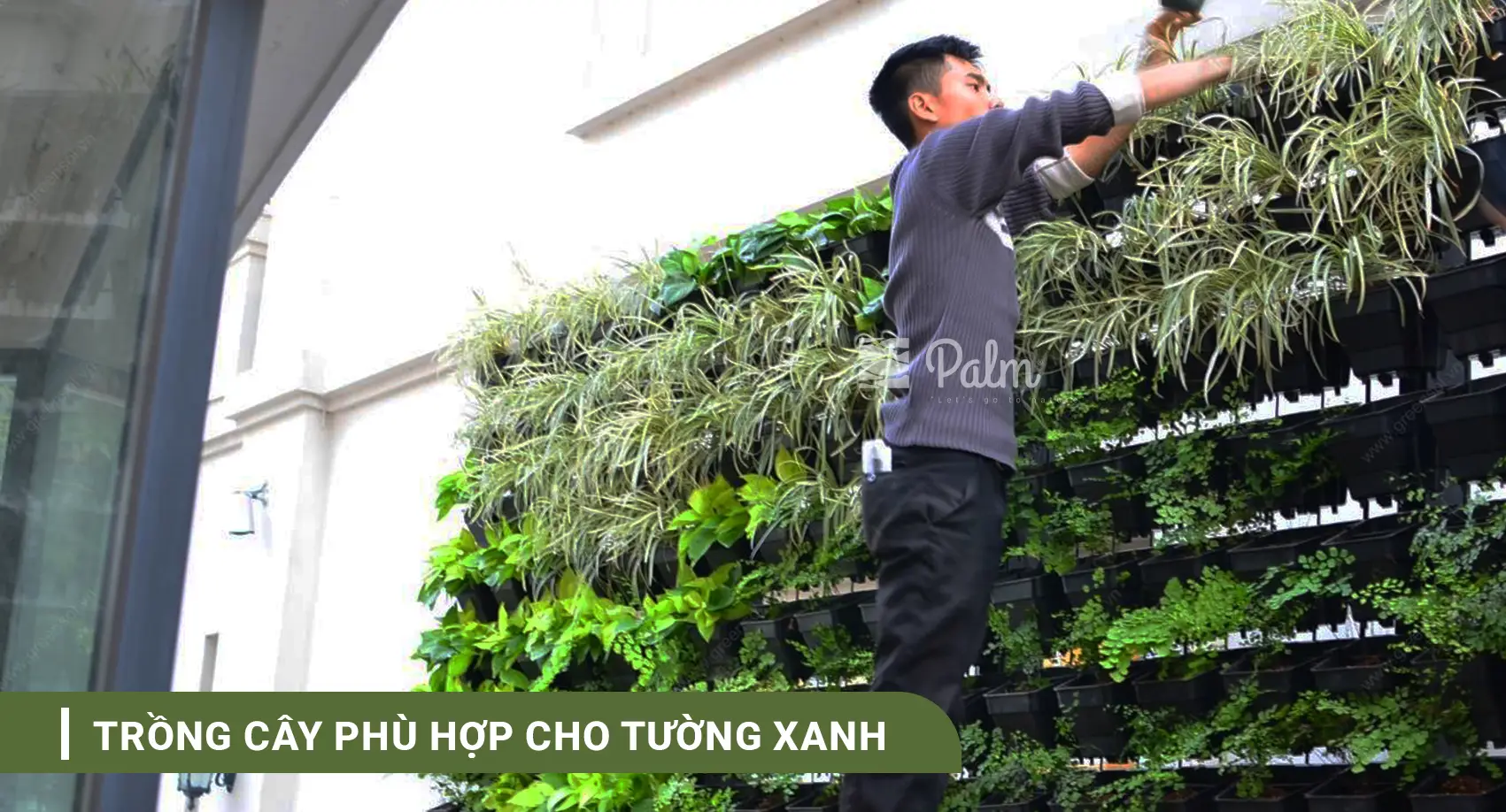 Tư���ng Cây Xanh | A-Z về Lợi Ích, Cách Thi Công & 10+ Mẫu Đẹp Nhất