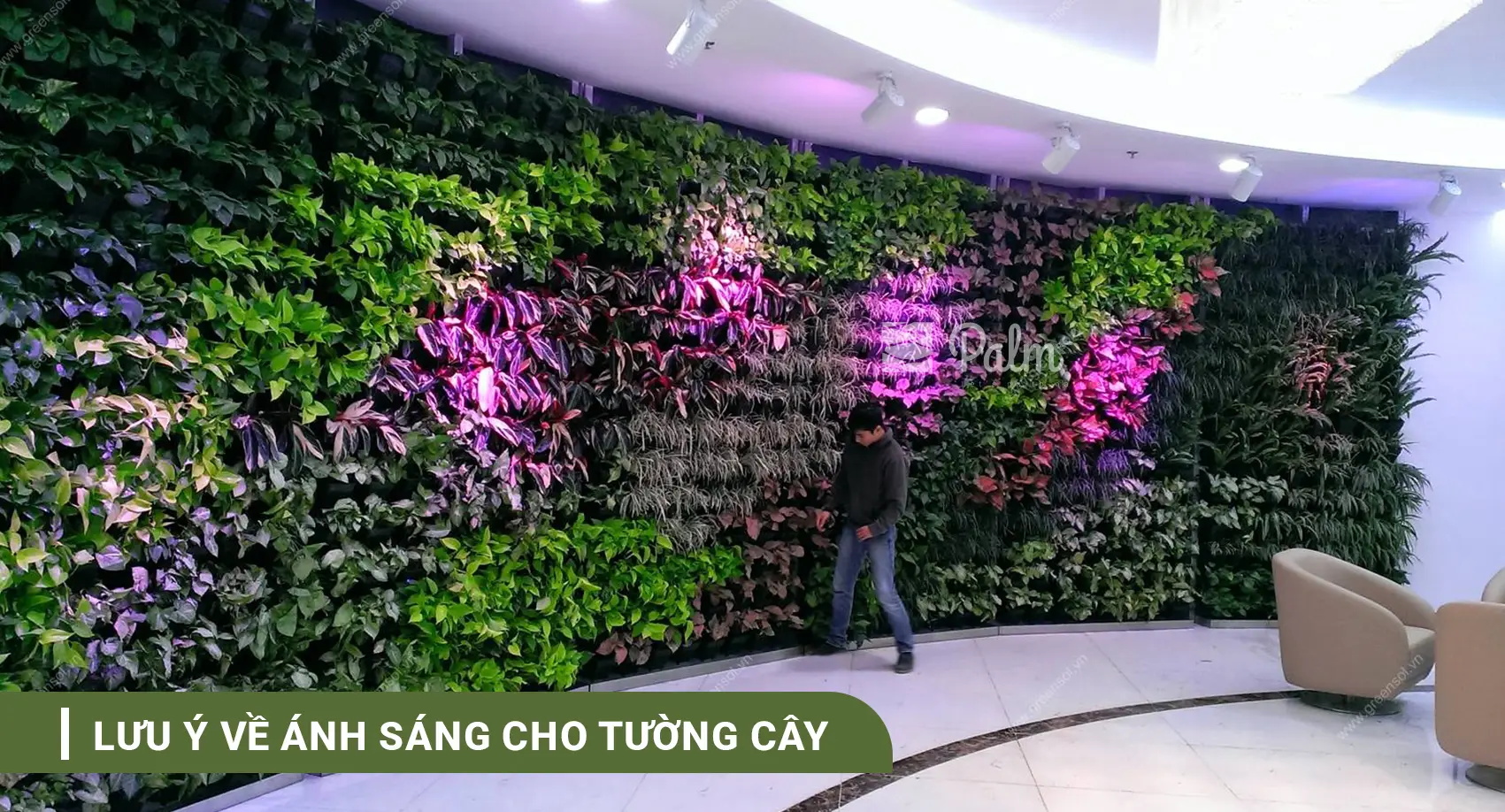 Tường Cây Xanh | A-Z về Lợi Ích, Cách Thi Công & 10+ Mẫu Đẹp Nhất