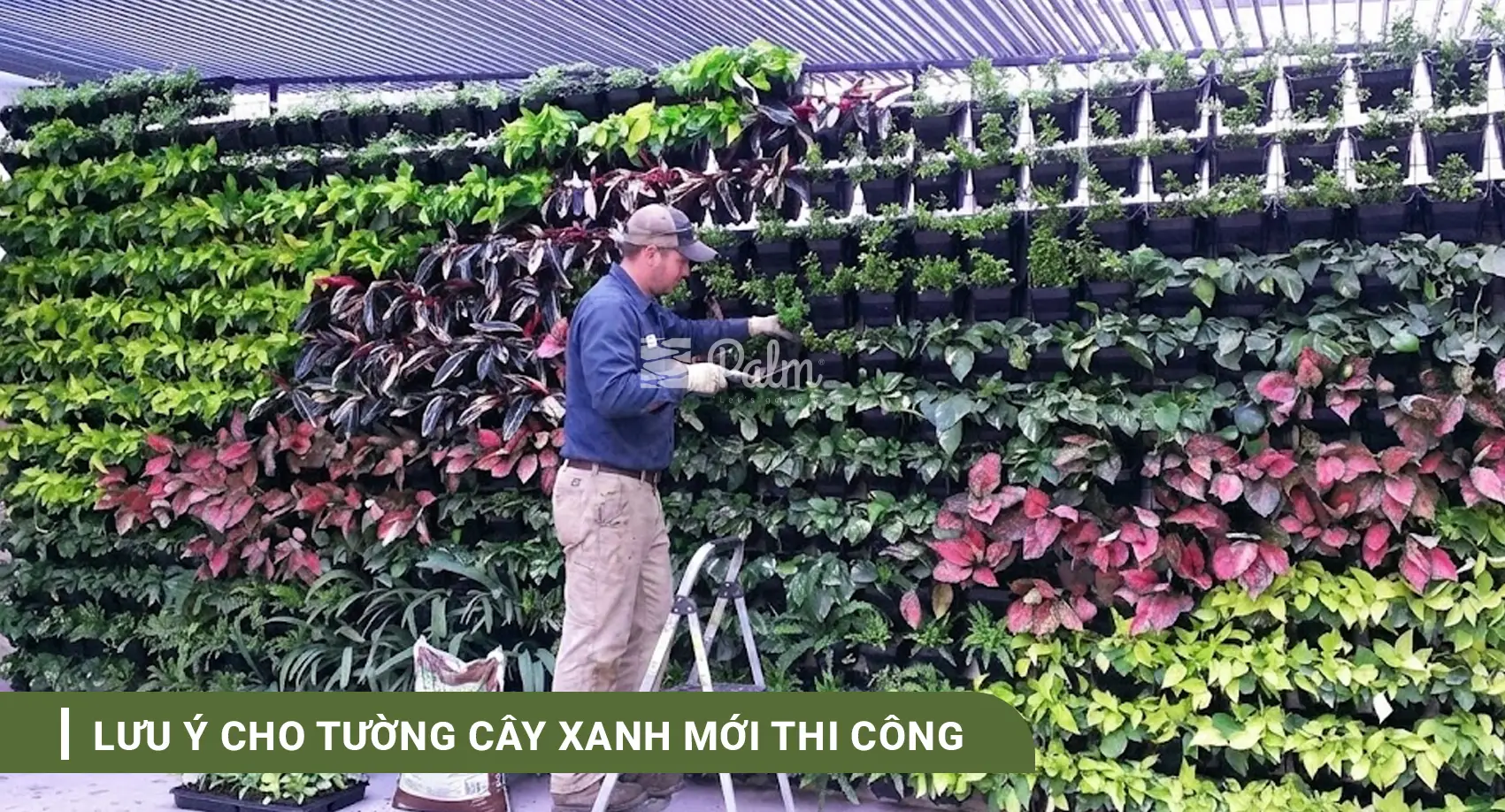 Tường Cây Xanh | A-Z về Lợi Ích, Cách Thi Công & 10+ Mẫu Đẹp Nhất