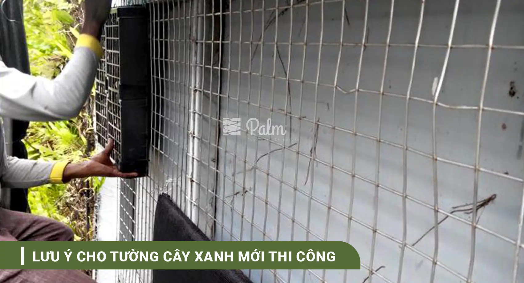 Tường Cây Xanh | A-Z về Lợi Ích, Cách Thi Công & 10+ Mẫu Đẹp Nhất