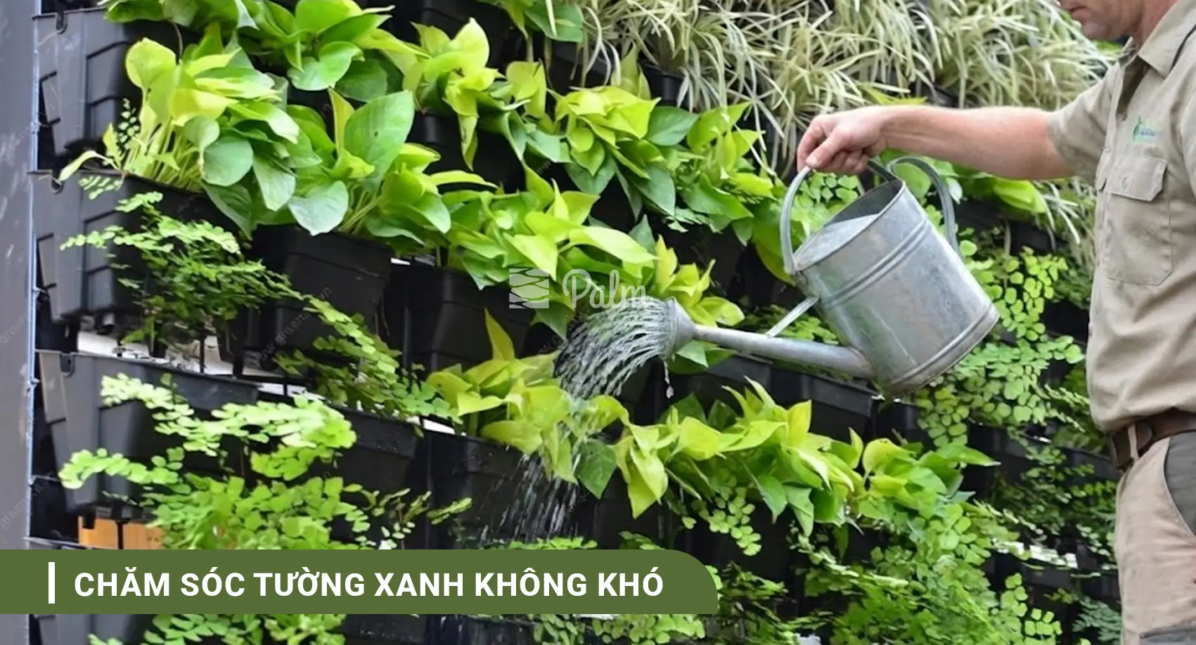 Tường Cây Xanh | A-Z về Lợi Ích, Cách Thi Công & 10+ Mẫu Đẹp Nhất