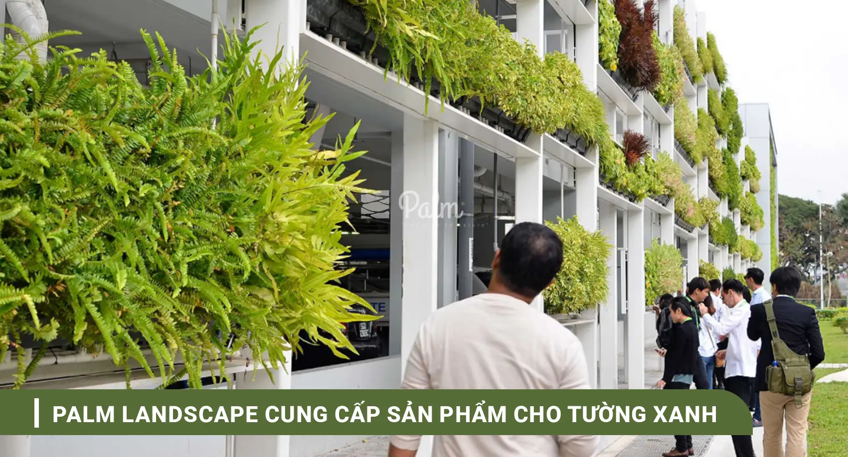Tường Cây Xanh | A-Z về Lợi Ích, Cách Thi Công & 10+ Mẫu Đẹp Nhất