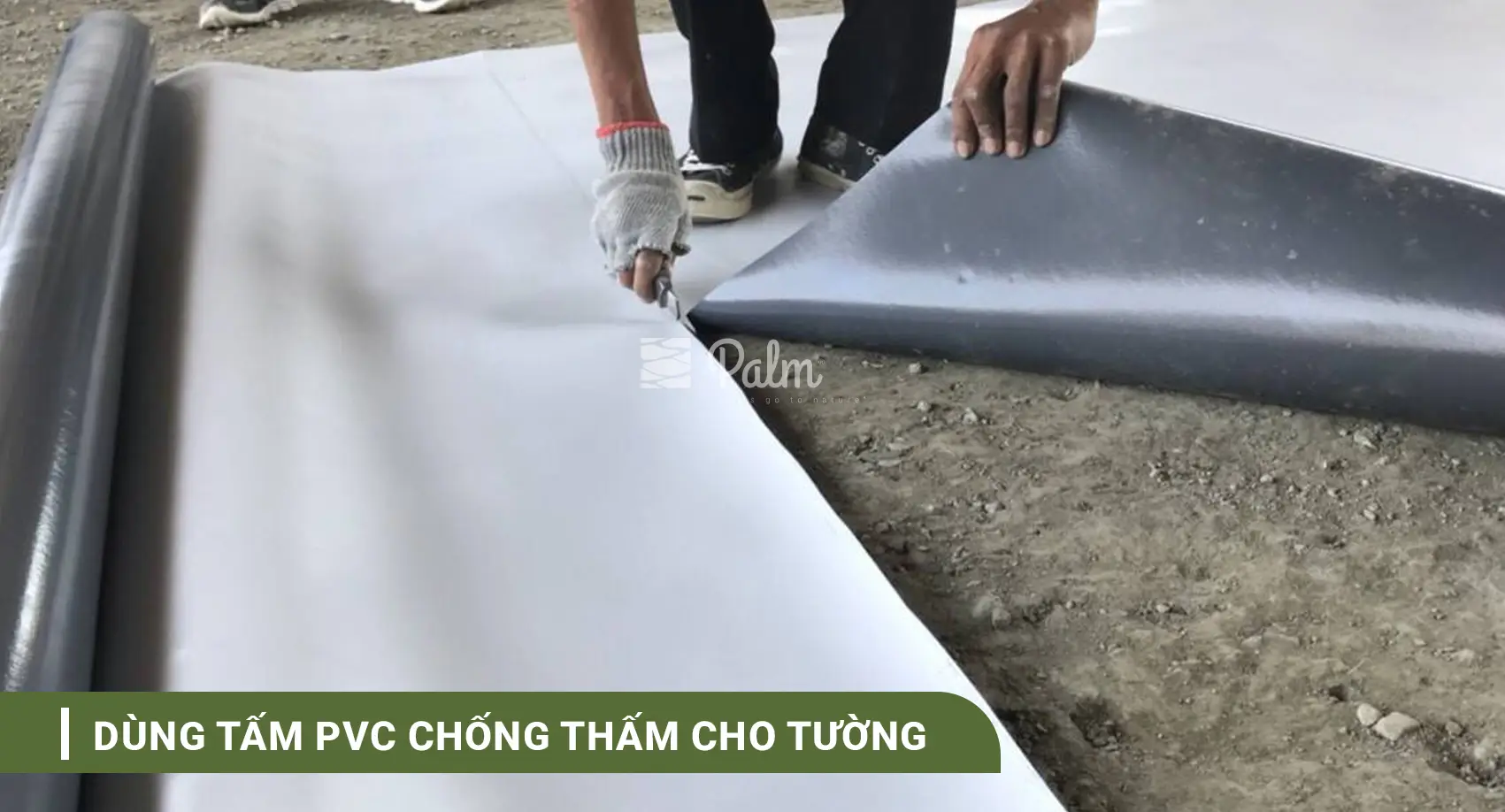 Tường Cây Xanh | A-Z về Lợi Ích, Cách Thi Công & 10+ Mẫu Đẹp Nhất
