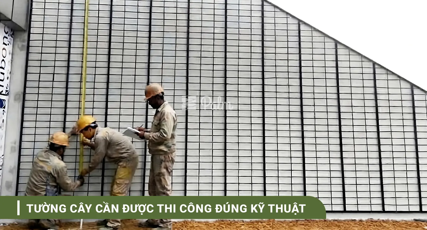 Tường Cây Xanh | A-Z về Lợi Ích, Cách Thi Công & 10+ Mẫu Đẹp Nhất