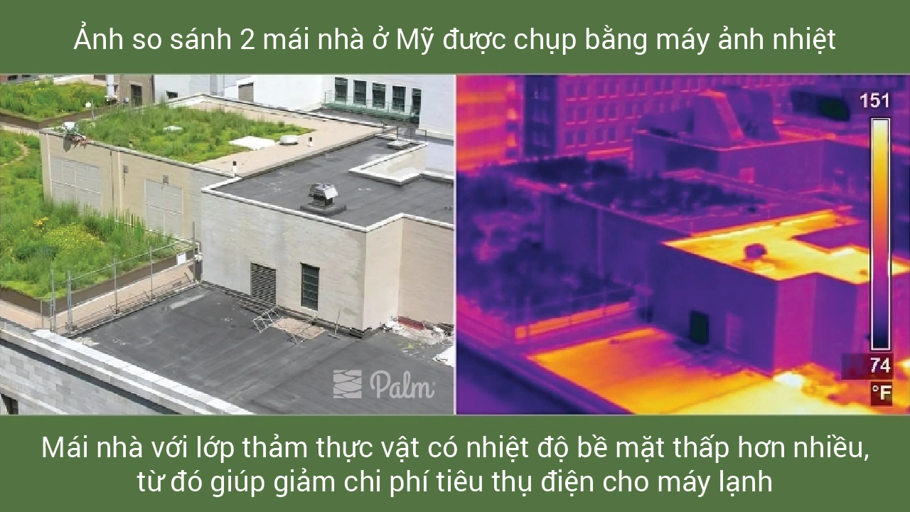 Cách Nhận Chứng Chỉ Công Trình Xanh Tại Việt Nam 2026