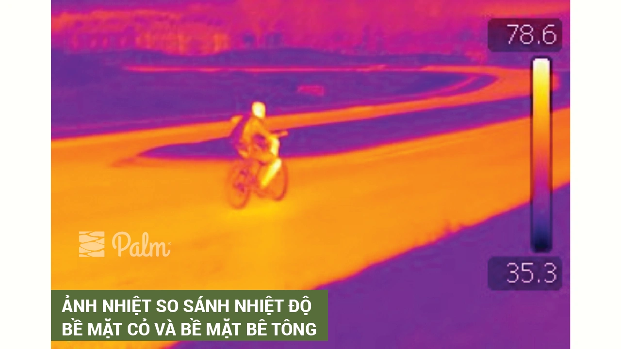 Cách Nhận Chứng Chỉ Công Trình Xanh Tại Việt Nam 2026