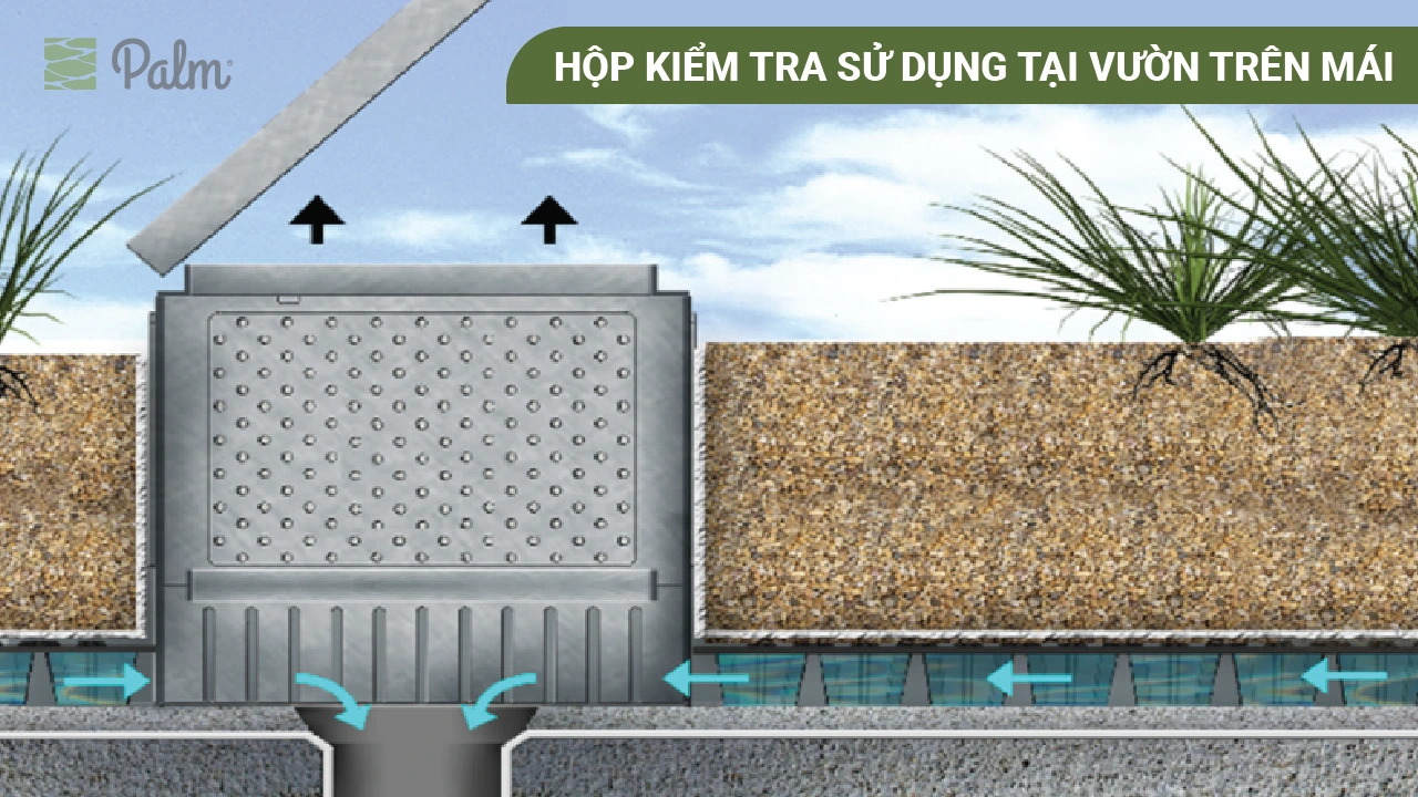 Cách Nhận Chứng Chỉ Công Trình Xanh Tại Việt Nam 2026