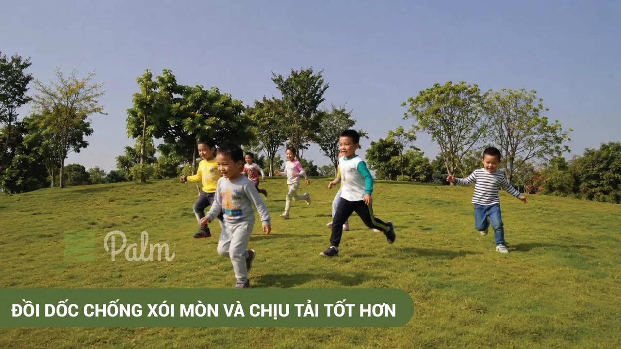 Ô Địa Kỹ Thuật | Tất Tần Tật Về Lợi Ích, Ứng Dụng Và Cách Lắp Đặt