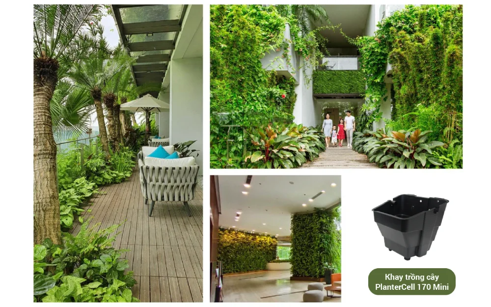 Cách Đạt Chứng Chỉ Xanh Cho Nhà Ở Bằng Giải Pháp Cảnh Quan