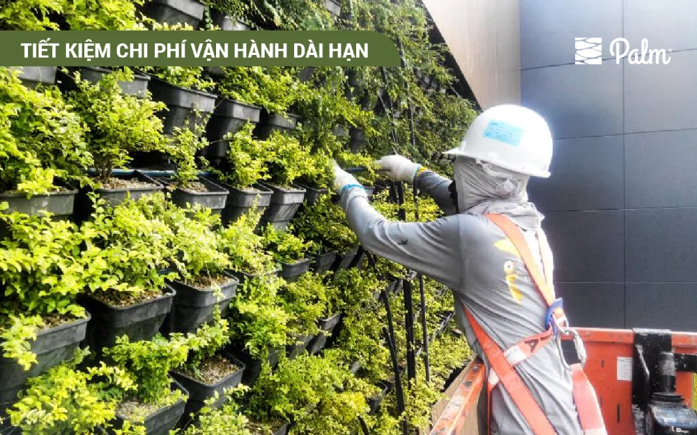Cách Đạt Chứng Chỉ Xanh Cho Nhà Ở Bằng Giải Pháp Cảnh Quan