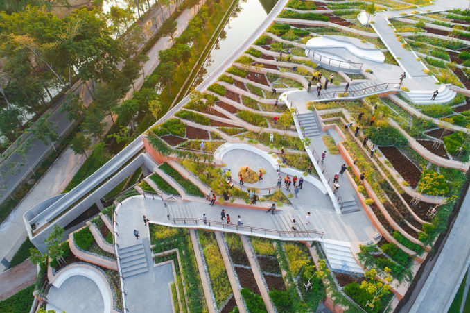 Đại học Thammasat - trang trại trên tầng thượng đô thị lớn nhất châu Á