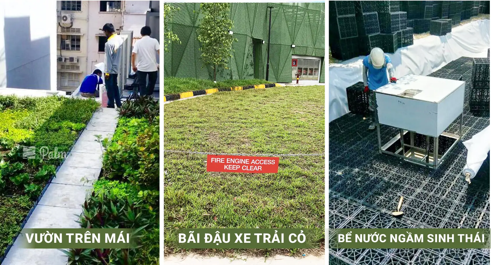 Sàn Nâng Kỹ Thuật Là Gì? Tất Tần Tật Về Lợi Ích, Ứng Dụng Và Cách Lắp Đặt