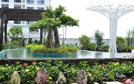 Xu hướng sử dụng vật liệu trong thiết kế cảnh quan sân vườn